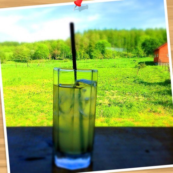 草原の中にある石蔵カフェでの風景