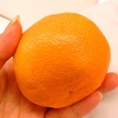 てらぽんのミカン