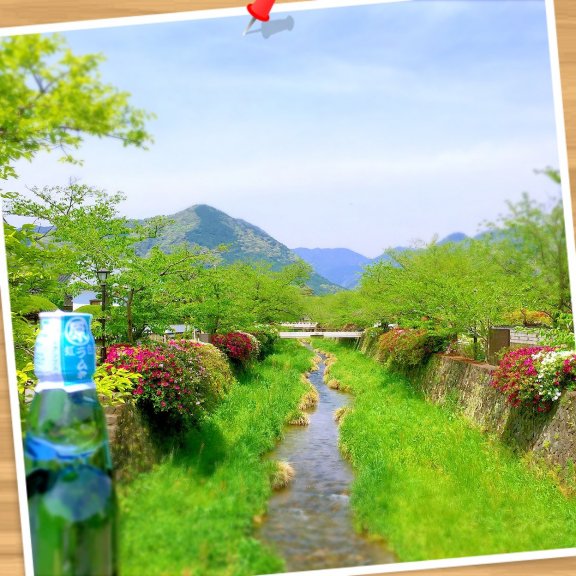 おはようございます〜☆ 昨日うなぎを食べた帰りのお店の前にある山口市の一の坂川です(*^^*) 桜シーズンと蛍のシーズンが有名なんですが今はツツジが咲き始めて綺麗で癒されましたよ♬ 通り沿いでラムネ（ブルーハワイ味）を購入し少しだけ散策しました☆ 今朝の曲はダイアー・ストレイツです♬ http://youtu.be/wTP2RUD_cL0 今日からゴールデンウィークの方も暦どおりの方、お仕事の方も素敵な週末をお過ごし下さい☆