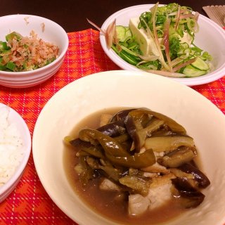 茄子とピーマンと厚揚げの炊いたん。キュウリとミョウガとおネギたっぷり冷奴。オクラのおかか和え。