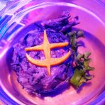 付け合わせのサラダ！
黒胡麻のポテトサラダに何故かひじきがinしてた衝撃の一品！(笑)不思議と違和感なく美味しく戴きましたー(•̀ω•́)♬