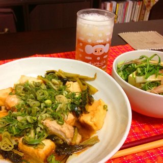 お疲れさまさま。
厚揚げとムネ肉の炒めたのと薬味たっぷり冷奴。
完璧おつまみ！