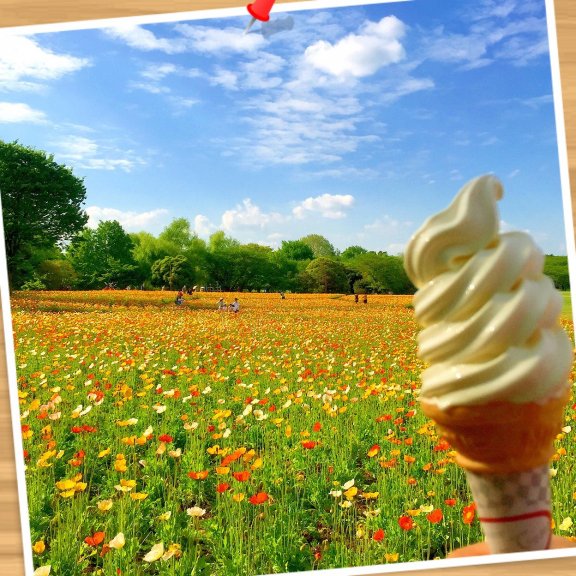 野鳥の囀りと満開の花たちに癒されて 最高の時間…✨✨( ੭ ˃̵͈́∀˂̵͈̀)੭ᕀଂ✧❤︎ 昔米軍飛行機場基地だったらしい 国営昭和記念公園 渋滞で2時間以上かかったけど 本当に来て良かった♡♡ 次は母と一緒に又来たーい❣❣ 食べたかった可愛いピンクの チューリップソフトは売切れで残念^^; ノーマルバニラソフトでも この大自然の中、大絶景となら大満足♡