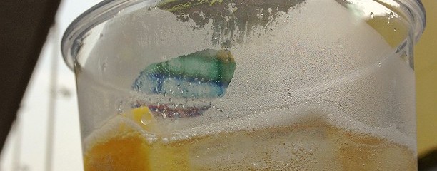 Paddoc ウインズ後楽園フードコート