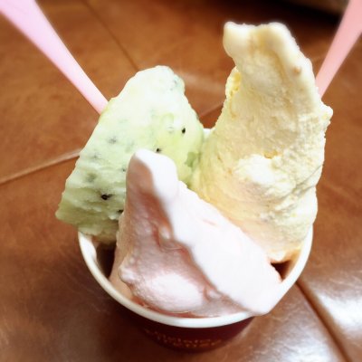 ジェラート フィレンツェ 中区 桜木町 中華街 桜木町 アイスクリーム