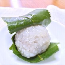 coro2さんの写真