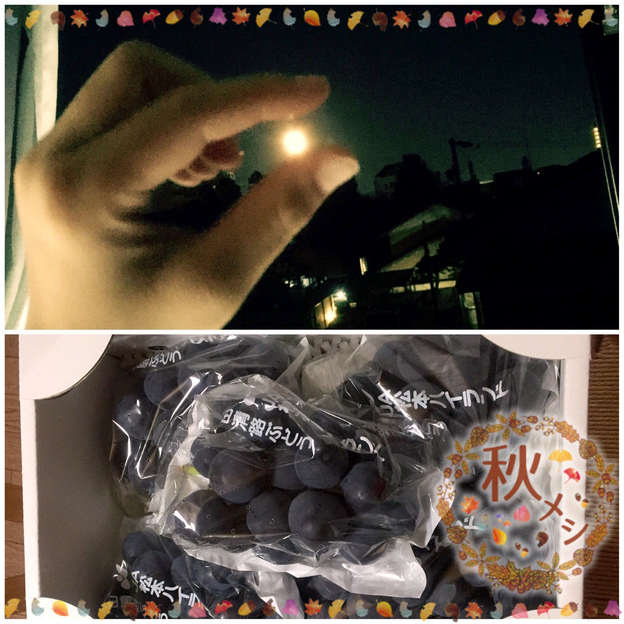 長野県の親戚から巨峰が届きました〜♪
この山清路ぶどう♡♡めちゃめちゃ甘くて美味しいよ♡毎年送ってくれるんだけど家族みんな大好き⑅◡̈*.
昨日のスーパームーンあまりに美しかったから今日も…子どもたちと部屋から夜空の観察(❁´◡`❁)
ほんと綺麗だったね