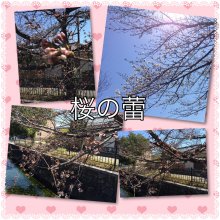 hanabishisouさんの写真