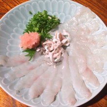 mikittyyさんの写真