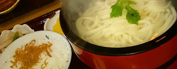 うどん 夢さき