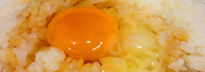 Oh! sakabar たまごん家