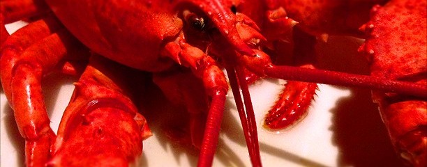 Legal Sea Foods-Copley Place