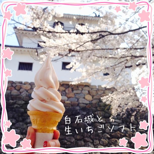 お城と戦国武将にハマり中の息子のリクエストで白石城に来ました〜(❁´◡`❁)
 
桜 満開です♡
 
残念ながら、出店にビールなし…(* >ω<)