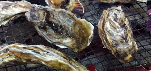 活カキ岡崎旭星