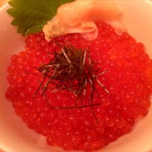 ymatsunaさんの写真
