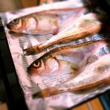 chikakodb4さんの写真