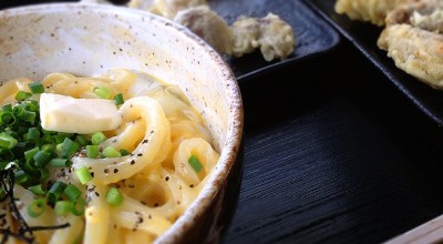 蝦夷前うどん かばと製麺所 うどん