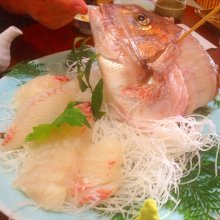 mamegomamaさんの写真