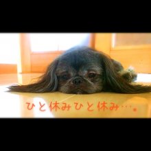 hiro73さんの写真