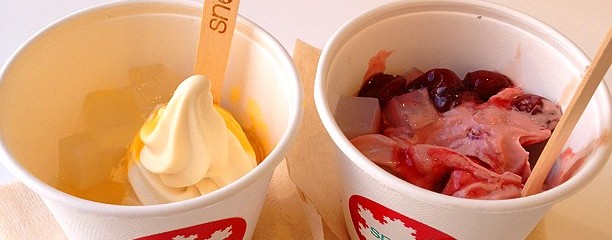 フローズンヨーグルト　スノーラ　京都