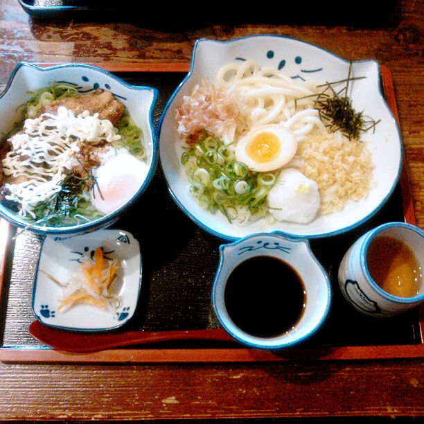 手打ち草部うどん のらや 鳳本店(津久野/和食) | ホットペッパーグルメ