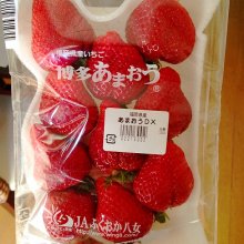 souchさんの写真