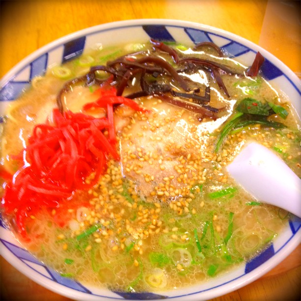 ふくちゃんラーメン順風園(博多駅（博多口）/ラーメン
