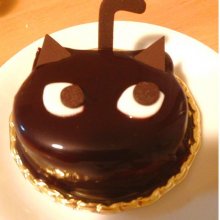 mikapan_cakeさんの写真