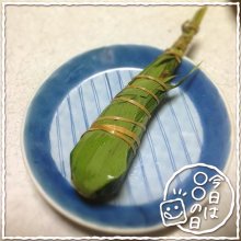 Shiraさんの写真