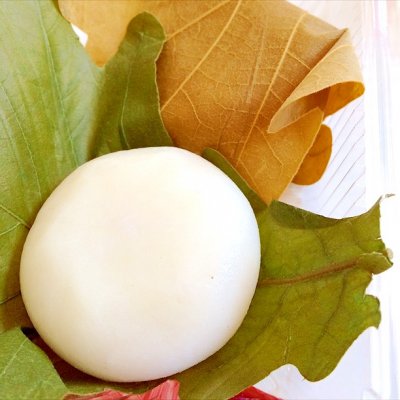 濱うさぎ 蒔田店 旭 保土ヶ谷 南 港南区 蒔田 和菓子