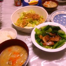 aripapaさんの写真