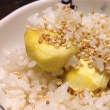 kabochuさんの写真