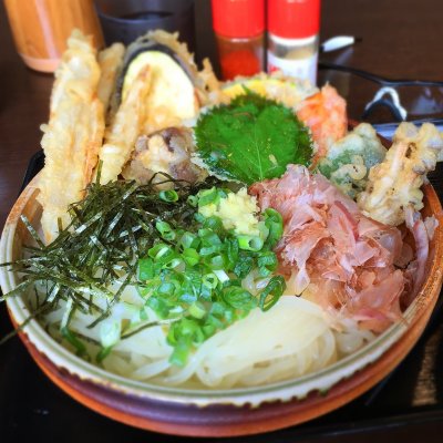 大地のうどん 筑紫野店 都府楼南駅 うどん