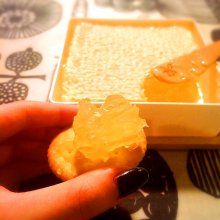 porippoさんの写真