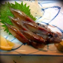 izakaya_chitomoさんの写真