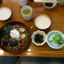 tmmiさんの写真