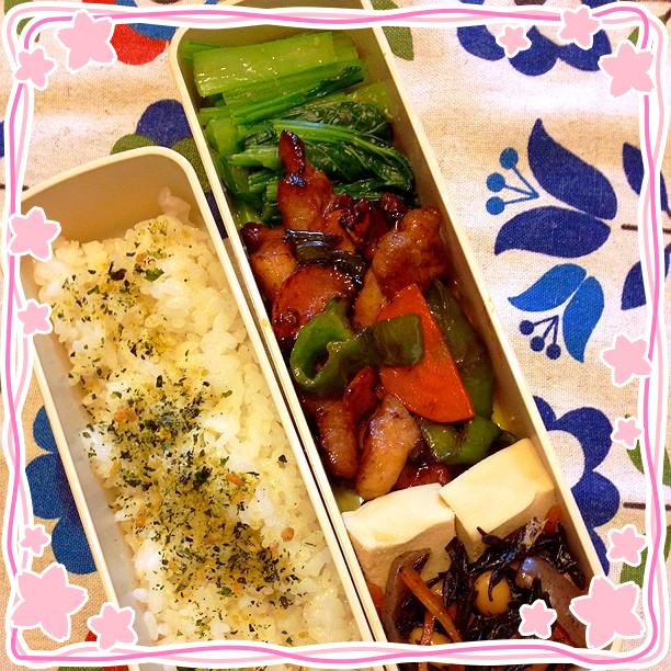 おはようございます(^o^)/
今日は、豚のオイスターソース炒め弁当です。夫弁当も同じ。
今週は毎日お弁当作るぞー！( ´ ▽ ` )ﾉ