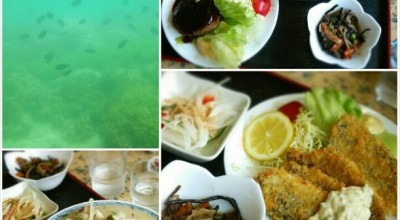 ももや食堂 徳島県南部 海部 天ぷら 揚げ物