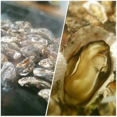 漁協食堂 うずしお 刺身 魚介類