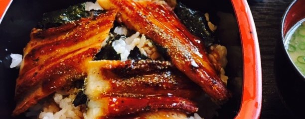 手打ちうどん一平