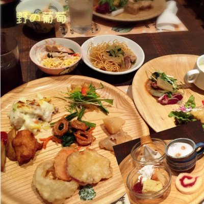 食彩健美 野の葡萄 大阪堺ダイアモンドシティ プラウ店 堺市 北花田 和食 その他