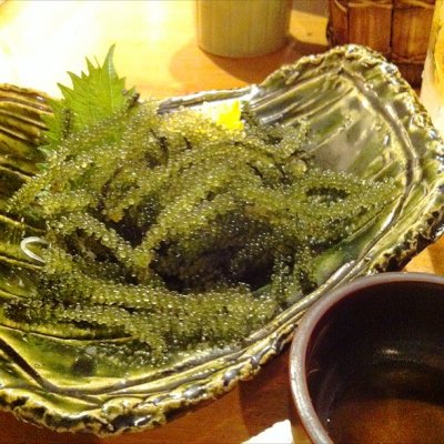 旬ナ風 小田原 箱根 湯河原 真鶴 鴨宮駅 居酒屋 ダイニングバー その他