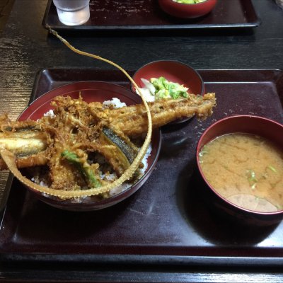 深川 成田 佐倉 酒々井 物井 丼もの