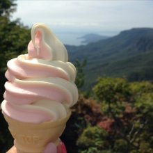 ayakomikiさんの写真