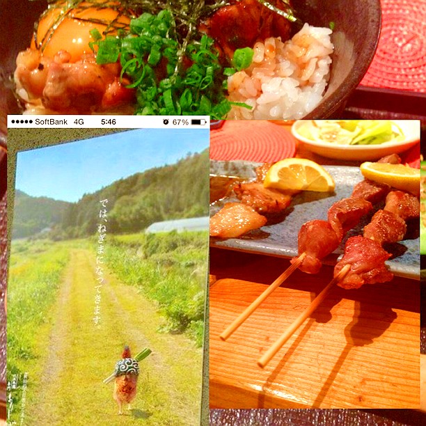 暖ったか焼き鳥と創作料理がじゅまる 居酒屋 の写真 ホットペッパーグルメ