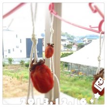1103y_hさんの写真
