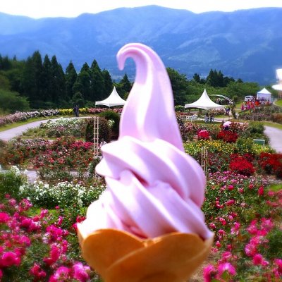 かのやばら園 アイスクリーム