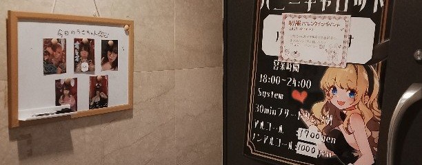 バニーキャロット