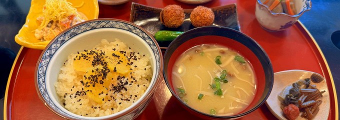 陶路子
