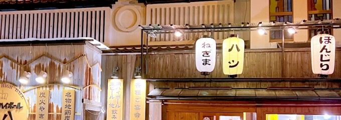 地鶏とハイボール銀八